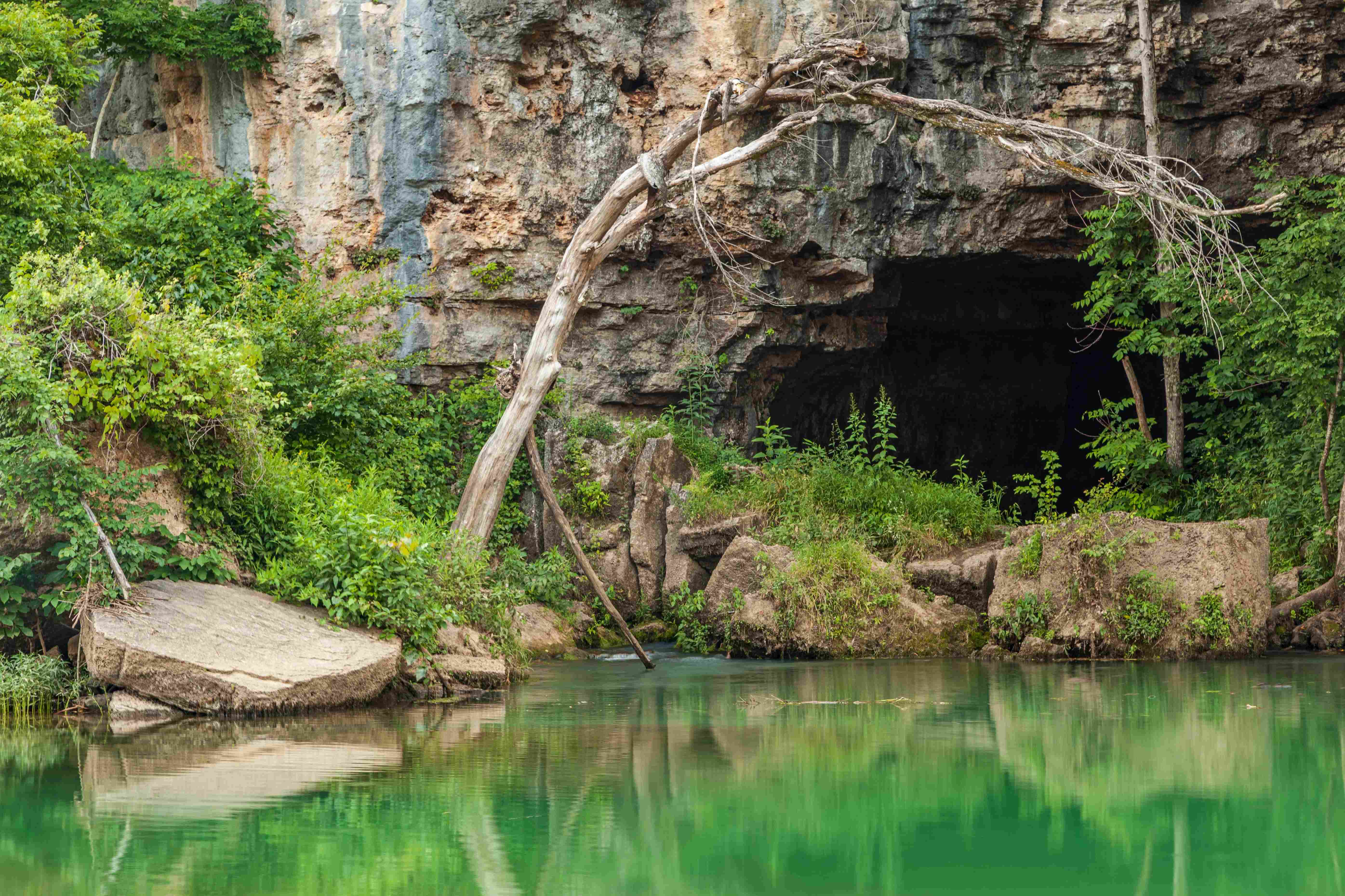 🏞️ 나카하라 석회 동굴 (나카하라 쇼뉴도) 이미지 6